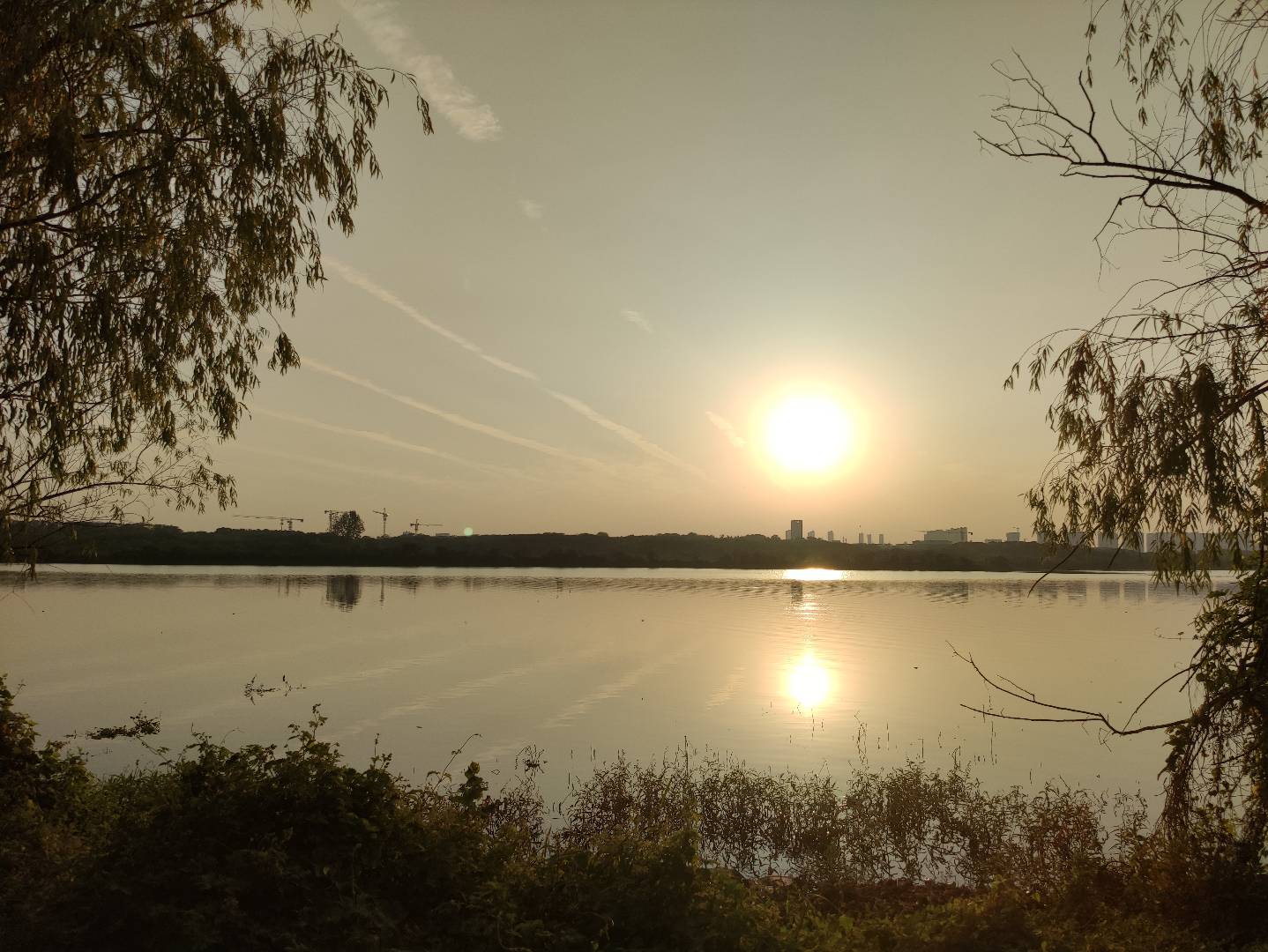 2043201136.jpg