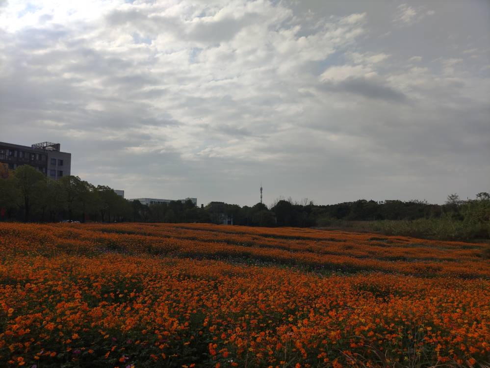 3282866000.jpg